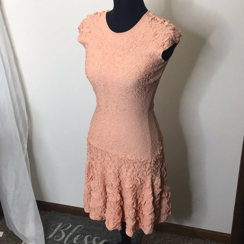 Alexander McQueen blush peach textural pucker knit flounced dress size s… - Picture 1 of 12